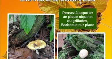 SORTIE CHÂTAIGNES DIMANCHE 12 OCTOBRE 2025