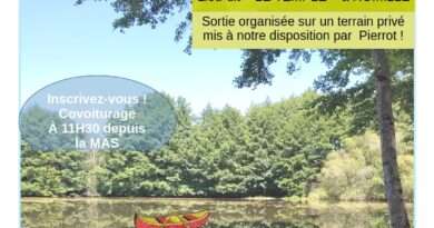 Une journée à Romillé